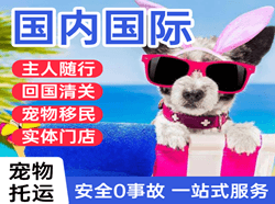 富蕴可可托海空运国际宠物托运 【国